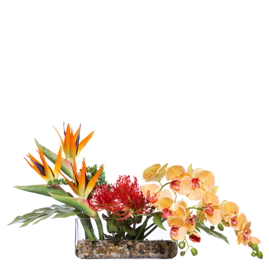 Tropical Mix FW