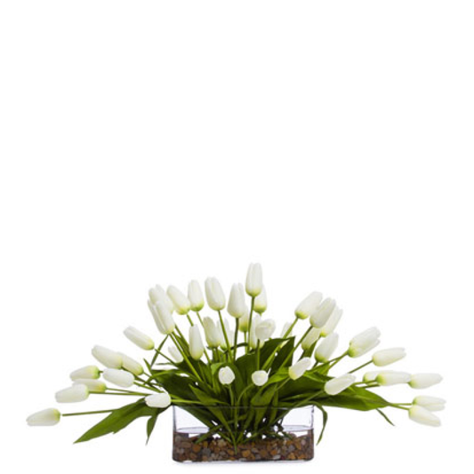 Tulips FW