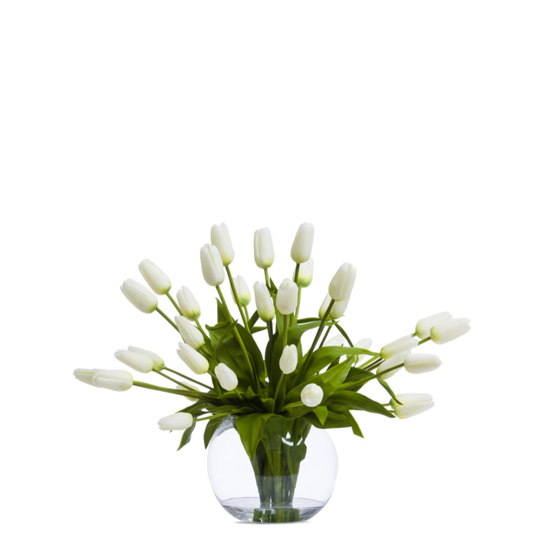 Tulips FW