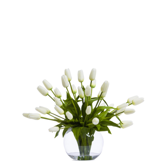 Tulips FW