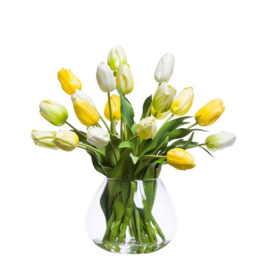 Tulips FW