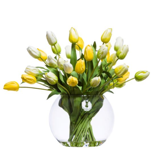 Tulips FW