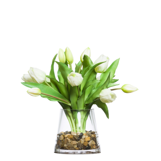 Tulips FW