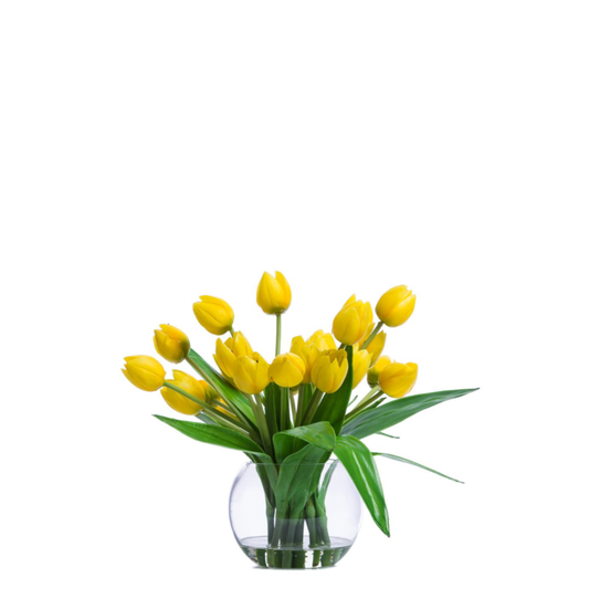Tulips FW