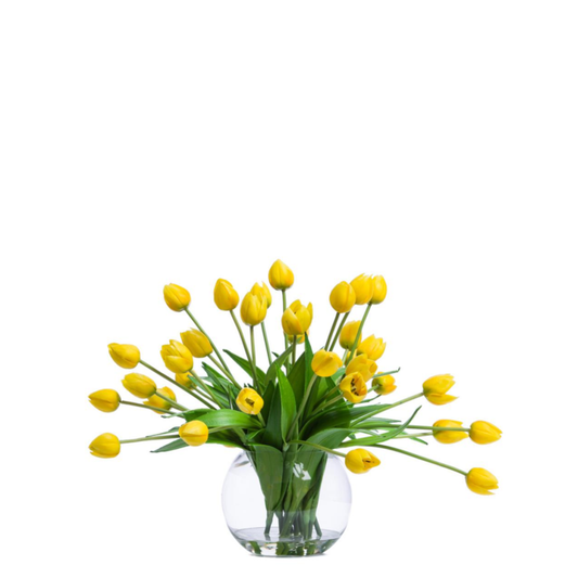 Tulips FW