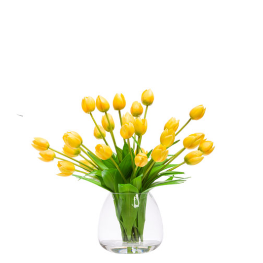 Tulips FW