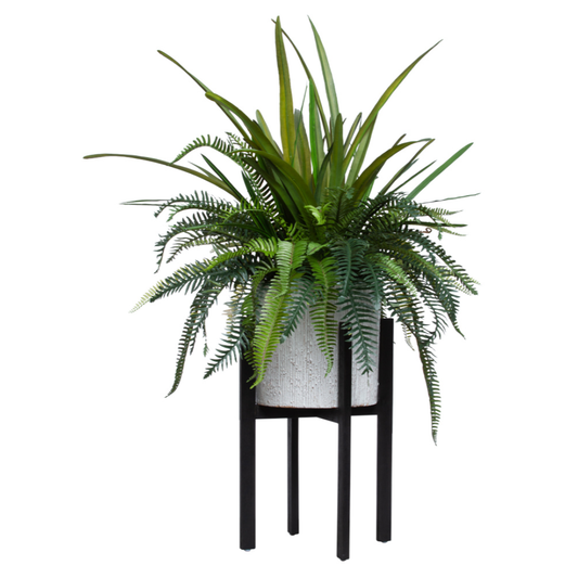 Fern Mix