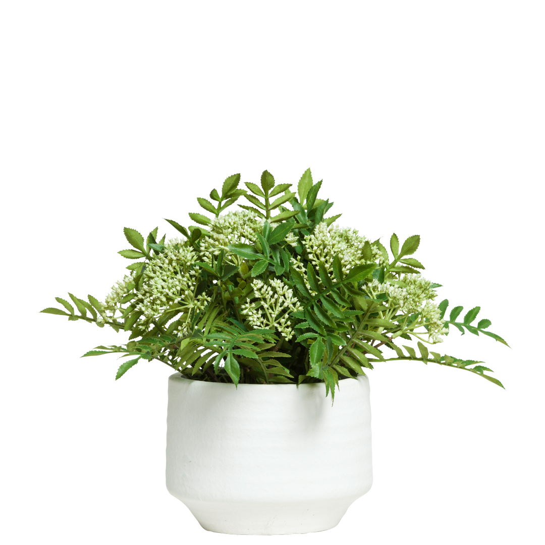Fern/Sorbus Mix