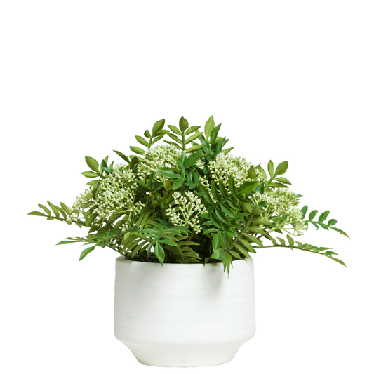 Fern/Sorbus Mix