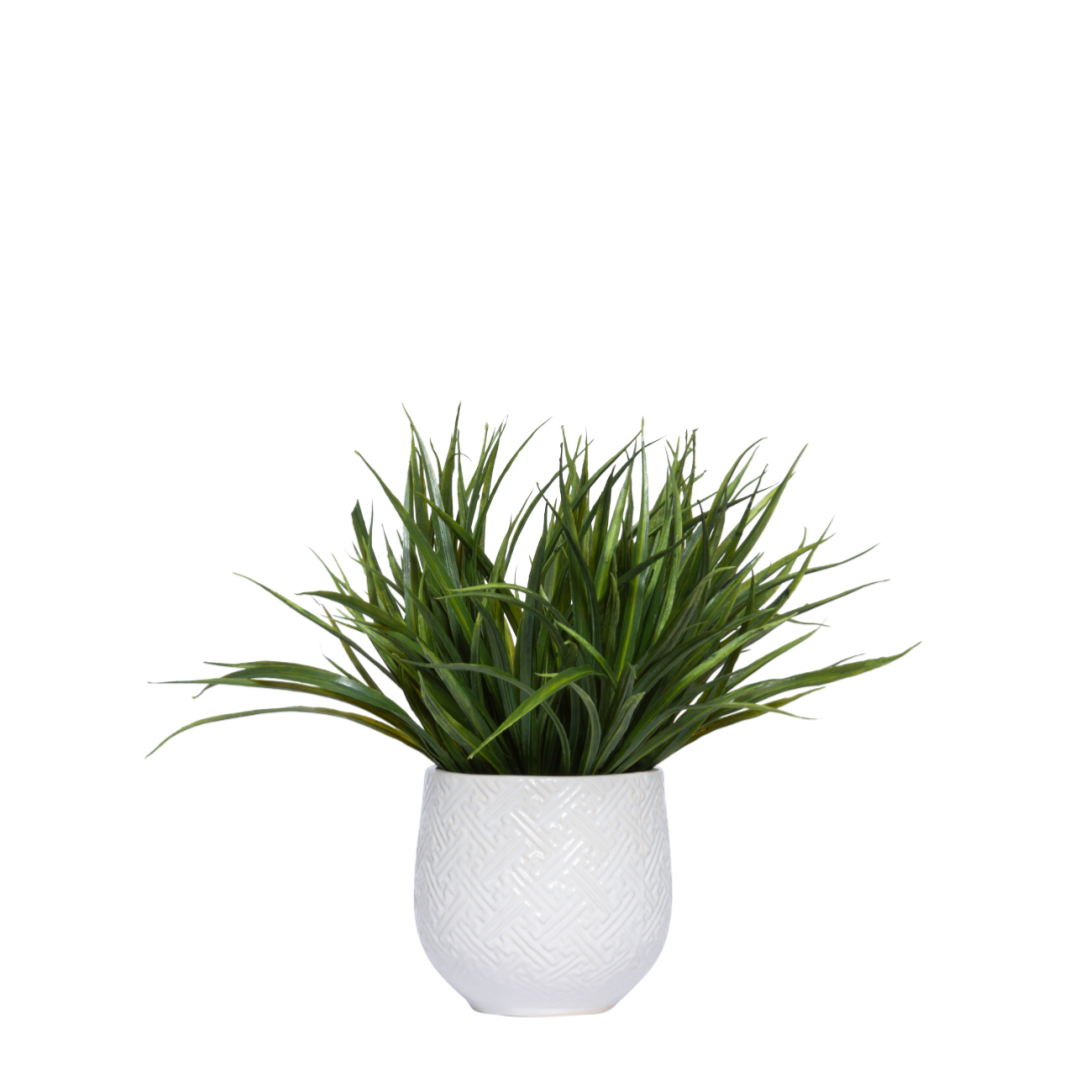 Grass