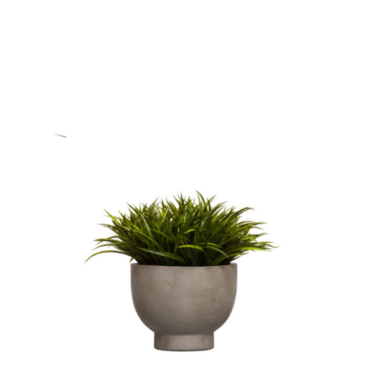 Grass RP C 13x16
