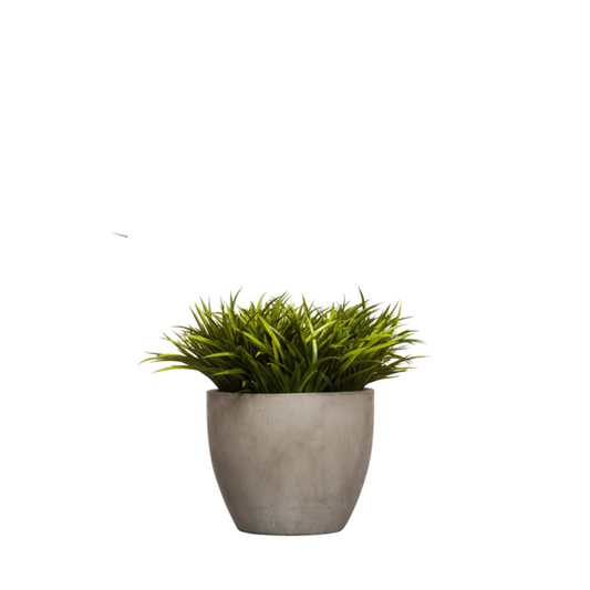 Grass RP C 15x15