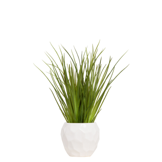 Grass RP D W/B 16x12