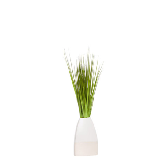 Grass