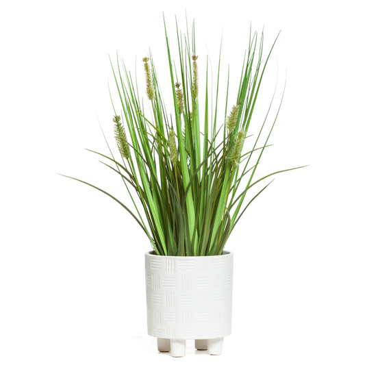 Grass Onion RP FT W 20x9