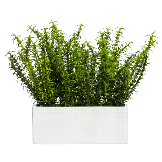 Rosemary
