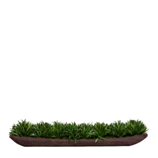 Grass