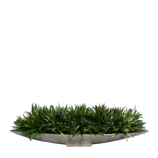 Grass