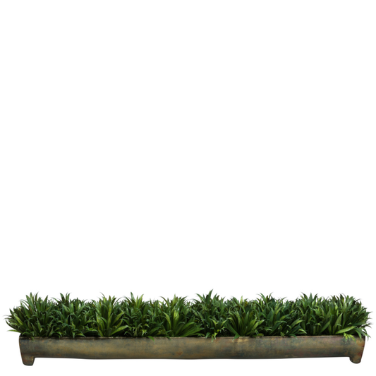 Grass