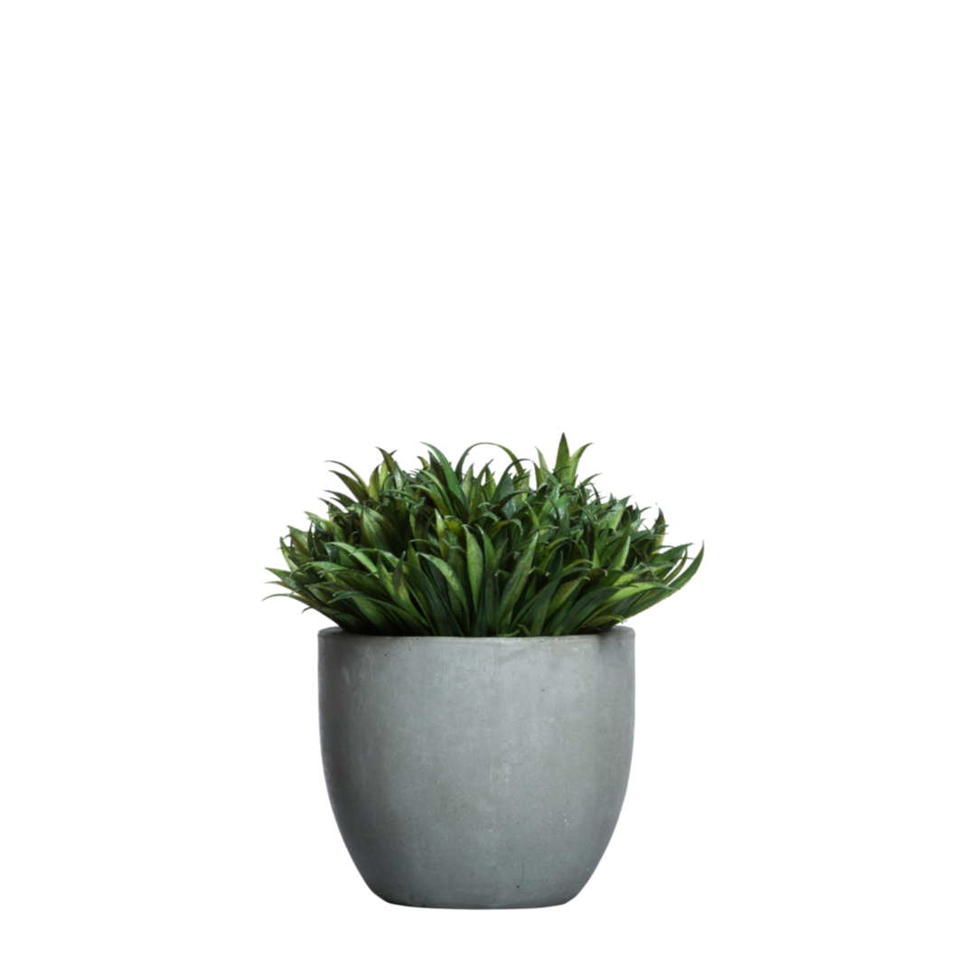 Grass