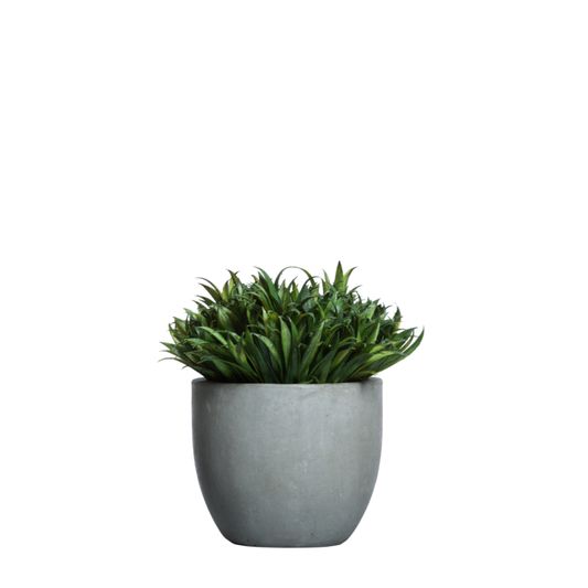 Grass