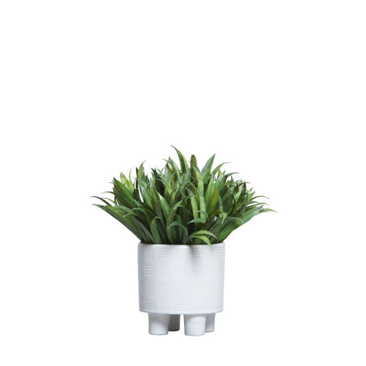 Grass