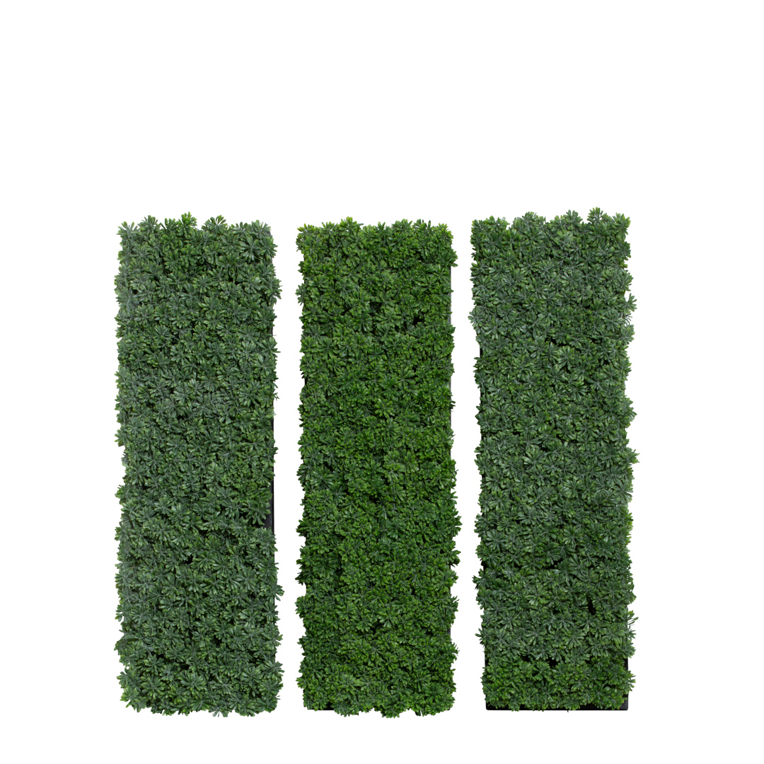 Succulent/Grass Wall