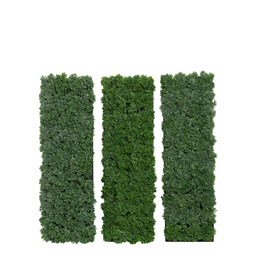 Succulent/Grass Wall
