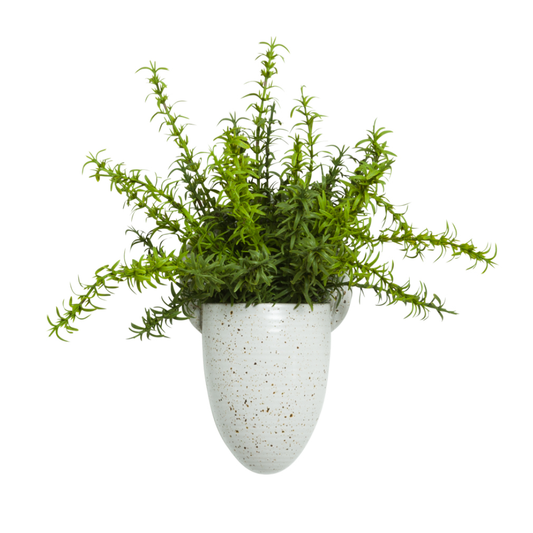 Rosemary