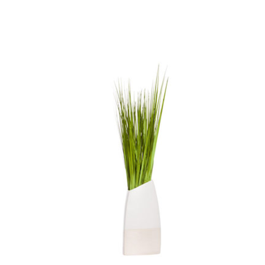 Grass