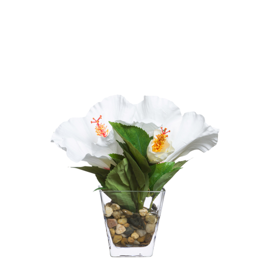 Hibiscus FW