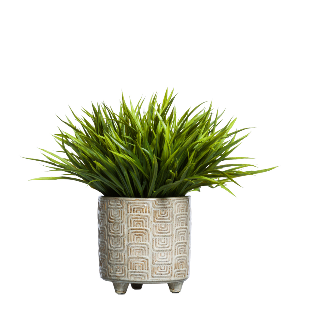 Grass