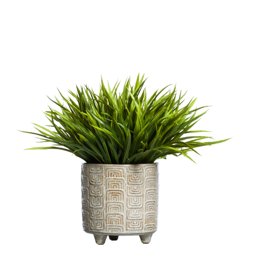 Grass