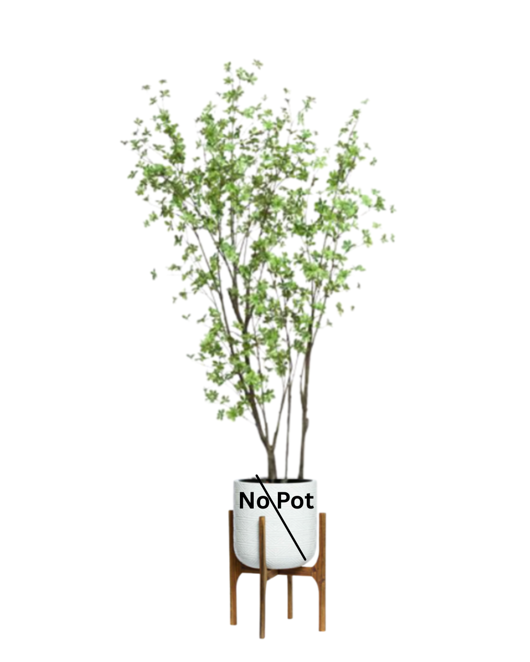 Artificial green leafy tree with slender branches, no pot included, white background