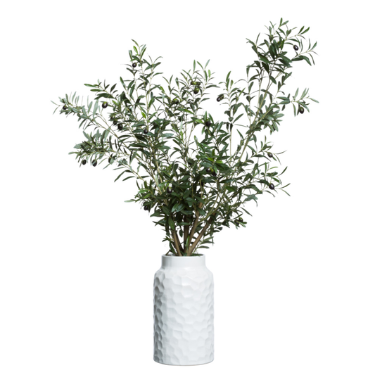 Olive Tree