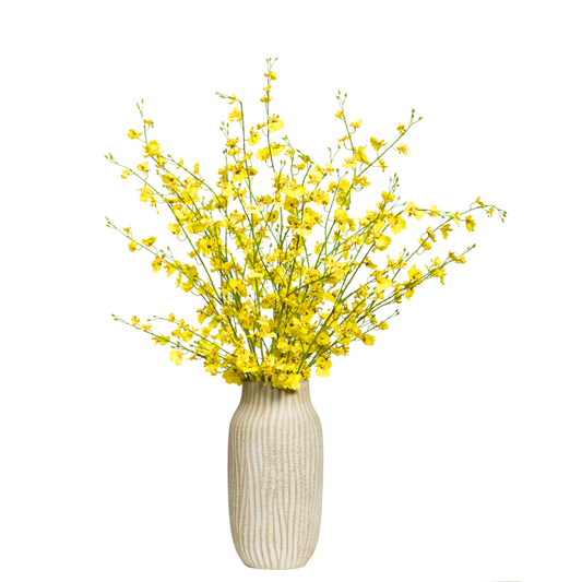 Orchid Oncidium