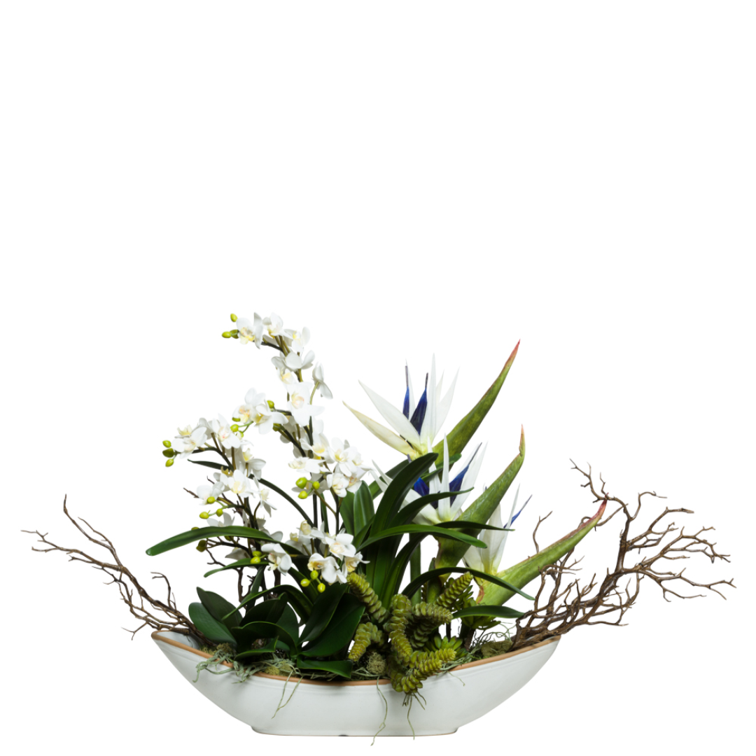 Orchid Tropical Mix