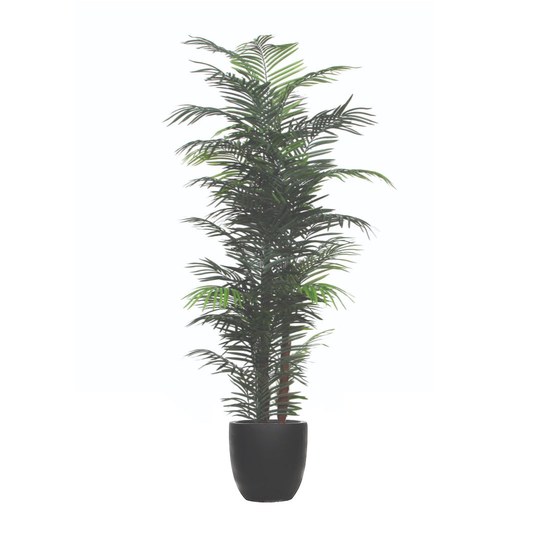 areca palm black sp Palm Areca – Lux Art Silks