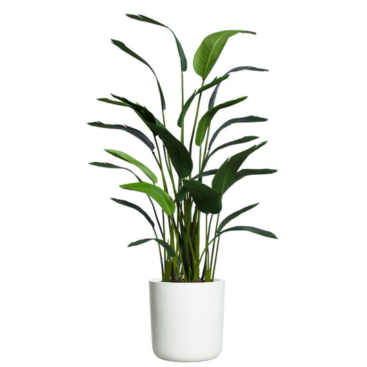 Palm Traveler's Deluxe