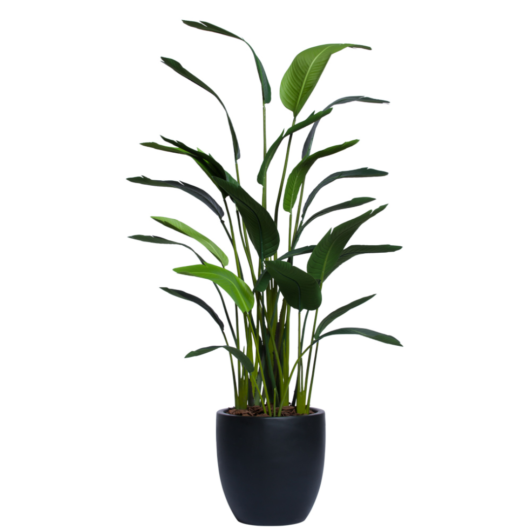 Palm Traveler's Deluxe