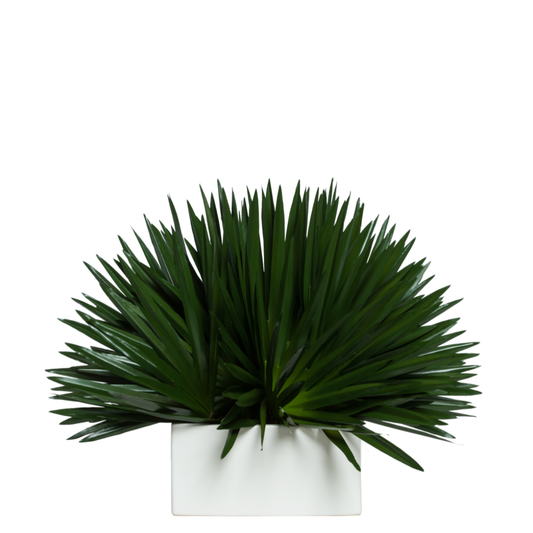 Palm Fan