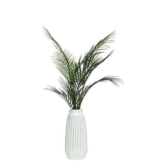 Palm Fronds