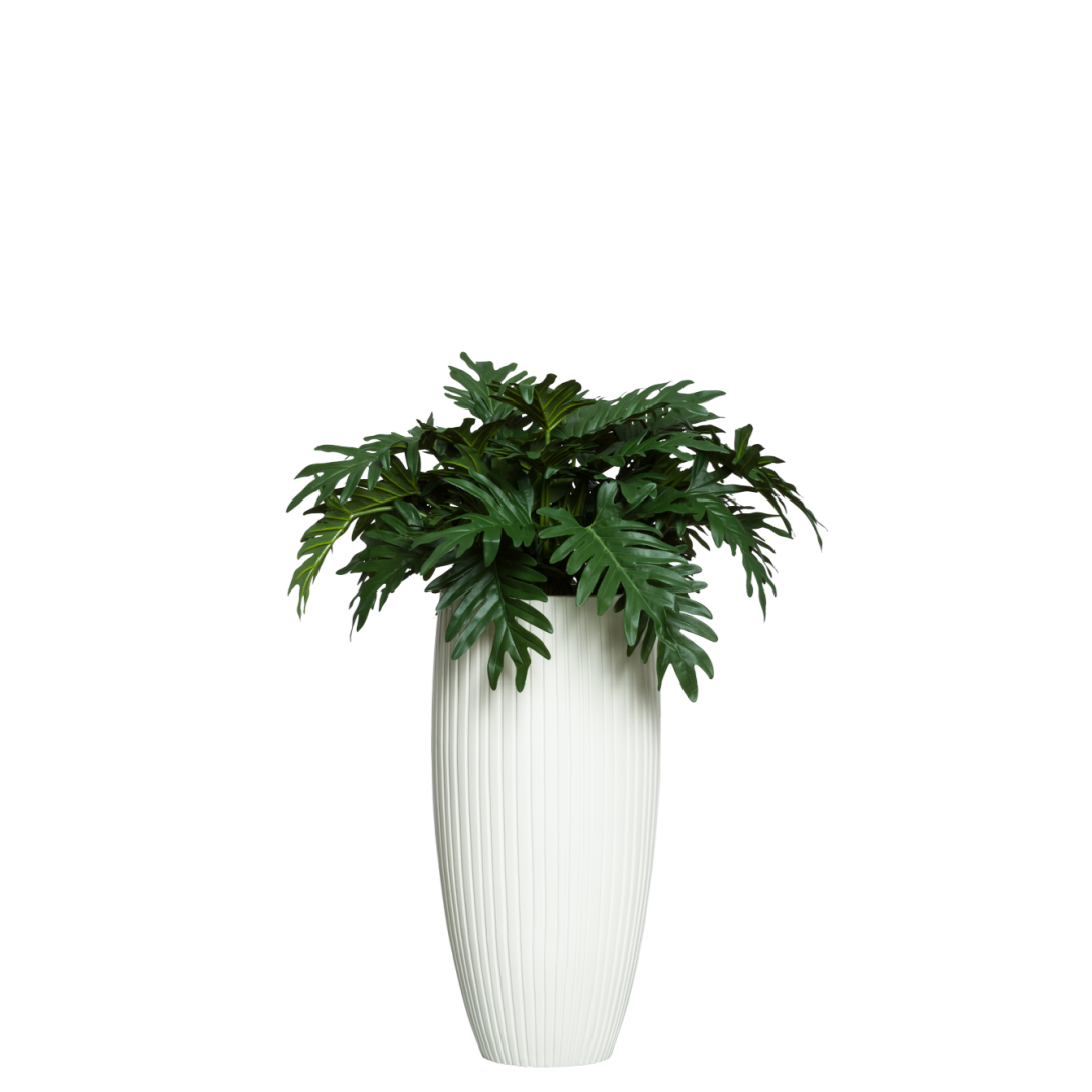 philodendron selloum png Philodendron Selloum UV – Lux Art Silks