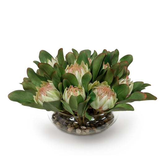 Protea