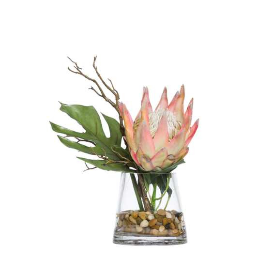 Protea/Split Leaf FW