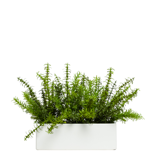 Rosemary