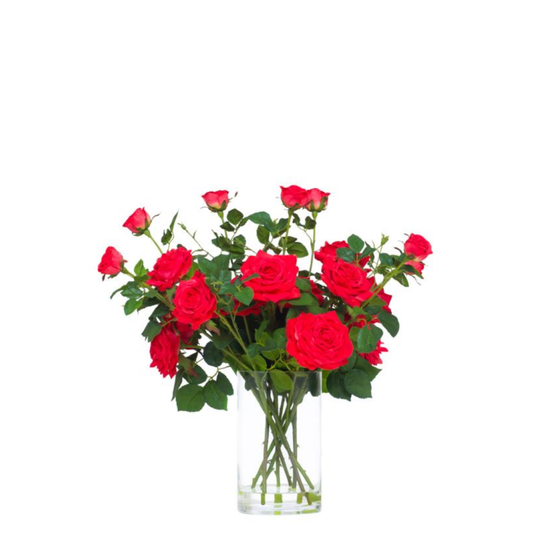 Roses FW