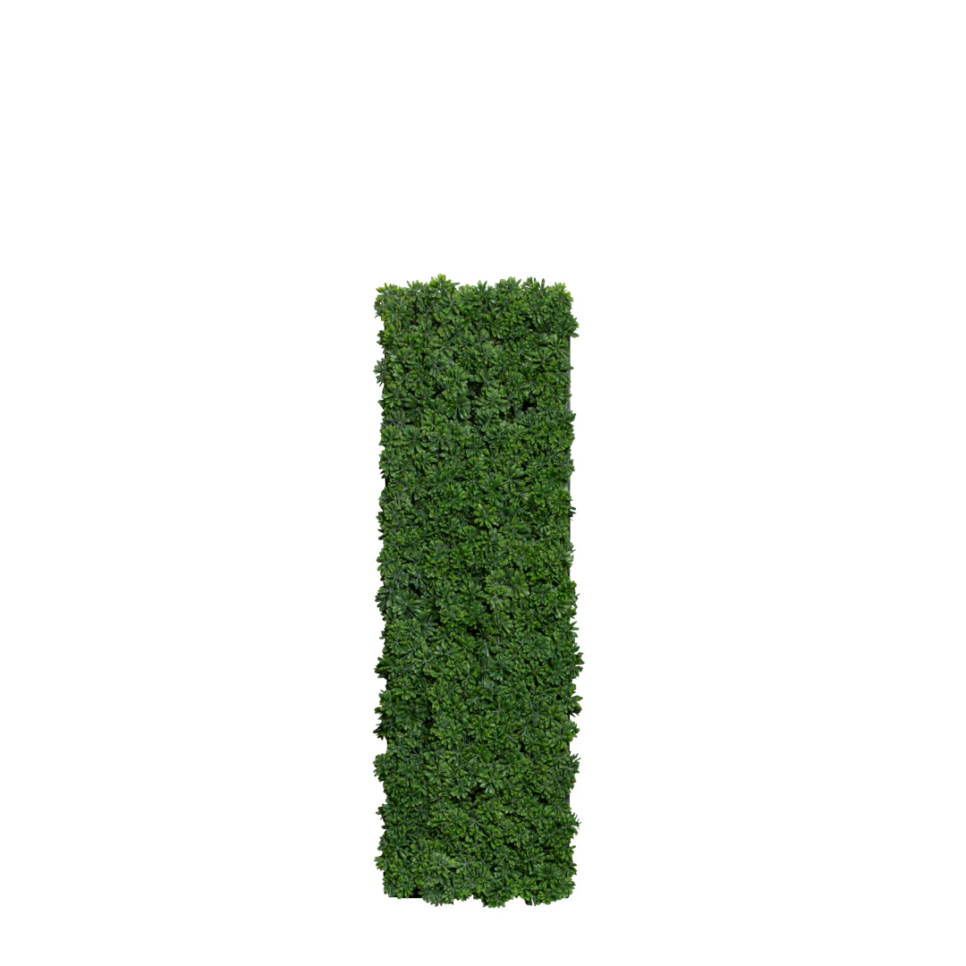 Succulent/Grass Wall