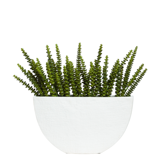 Succulent Pick