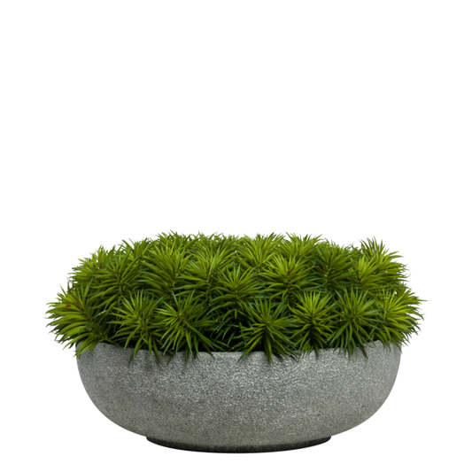 Succulent Pick